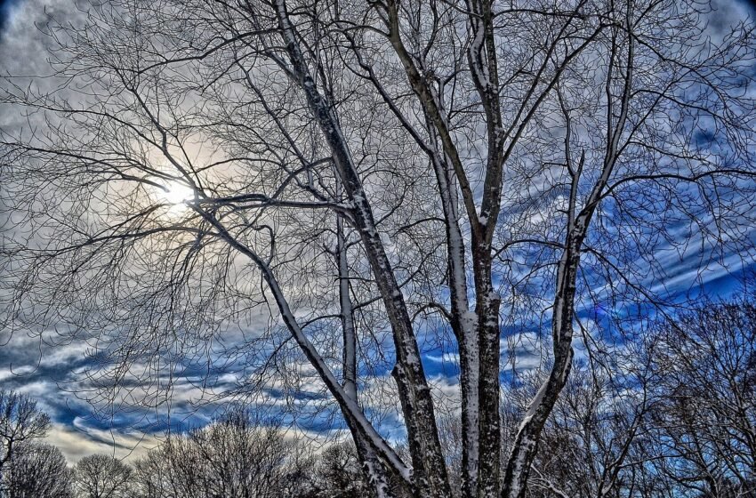  Frio, chuva, geada ou neve? confira como será o inverno no sul segundo o Climatempo