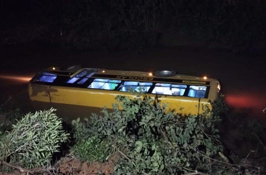  Micro-ônibus que caiu em rio com crianças e deixou feridos é retirado após 8 horas de trabalho