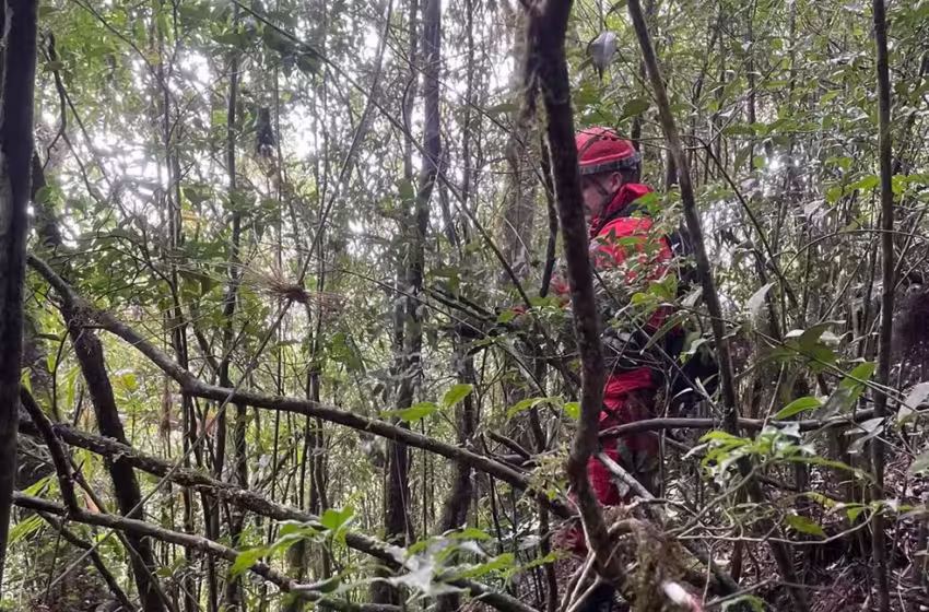  Bombeiros suspendem buscas em mata fechada da Serra do Mar no Paraná