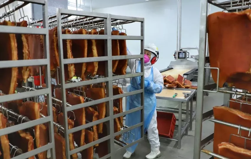  Em 2023, com 70,4 toneladas Paraná foi recordista na exportação de bacon