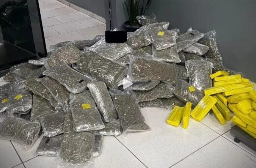  124 kg de maconha e versão gourmet da droga são apreendidos 