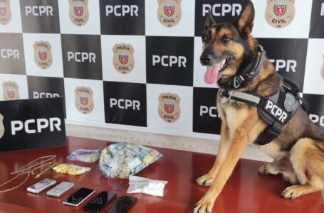 Policia Civil e Policia Militar prendem três homens, apreende droga e cerca de 91 mil reais em dinheiro durante operação em DV