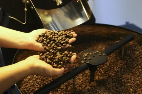 Exportações brasileiras de café chegam a 46 milhões de sacas, novo recorde em 2024