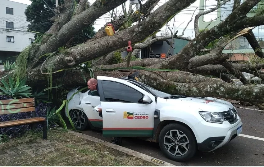  Árvore de grande porte cai em cima de carro no PR