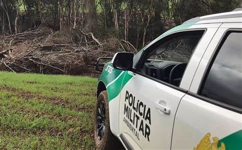  Polícia Ambiental prende homem por corte ilegal de árvore em área de preservação