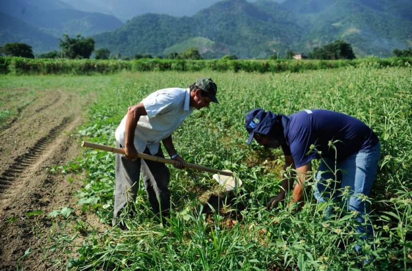  Agricultura Familiar: crédito para compra de terras sobe para R$ 293 mil, abaixo mais detalhes