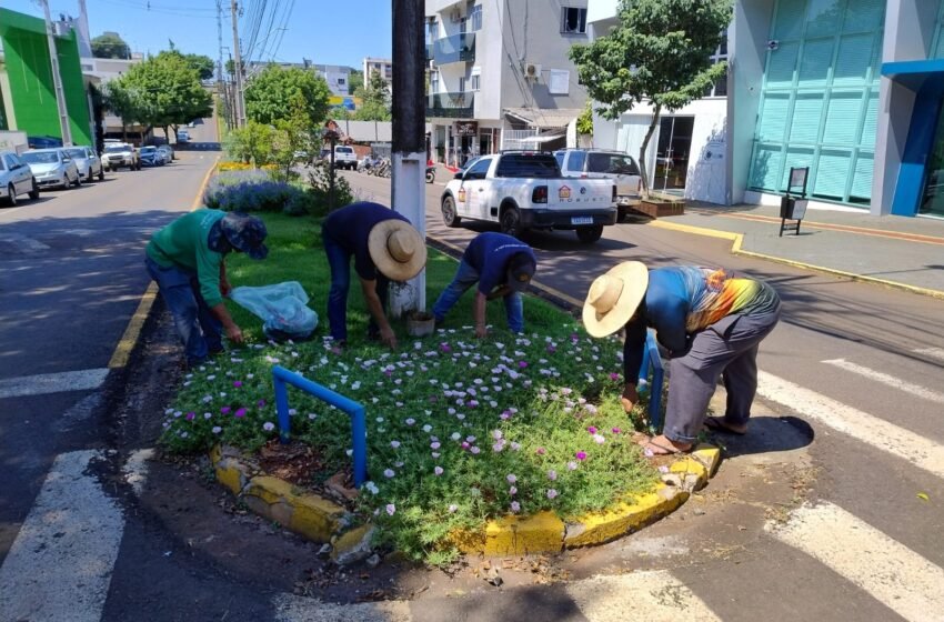  Canteiros floridos resistem ao calor intenso na cidade de Dois Vizinhos