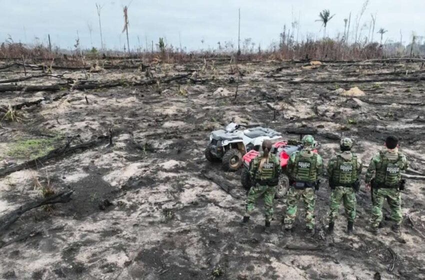  AGU exige R$ 76 milhões de infratores que promoveram a destruição de 6,8 mil hectares