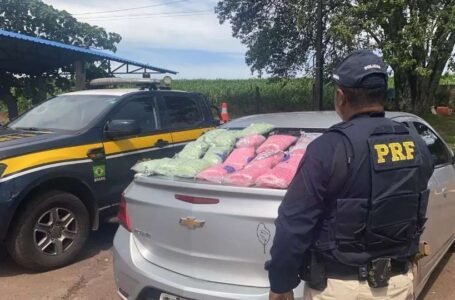 Mulher é presa com 90 mil comprimidos de ecstasy após realizar ultrapassagem proibida em rodovia