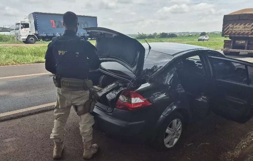  Casal é preso em flagrante com 350 kg de maconha após fuga no PR