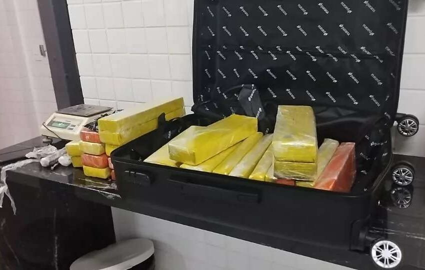  Mulher de 31 anos é presa com 32 kg de maconha em ônibus no PR