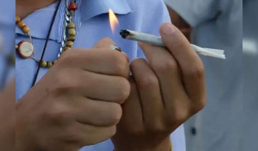  Compra de maconha dá errado: homem denuncia traficante por ‘calote’