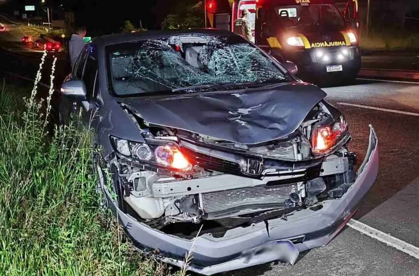  Tragédia no trânsito: pedestre morre atropelado ao atravessar avenida