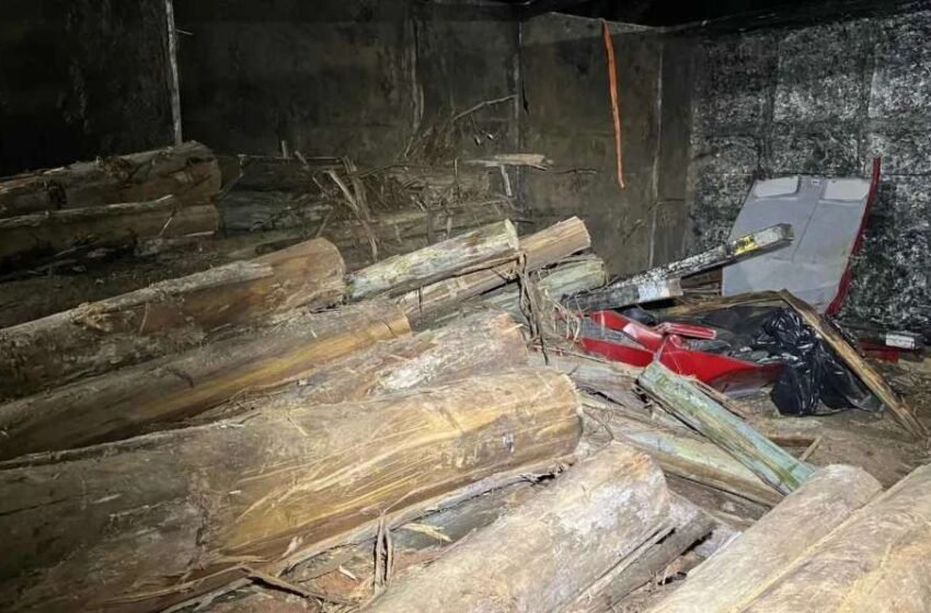  ‘Algo vai acontecer’: filha alertou antes de casal morrer esmagado em acidente
