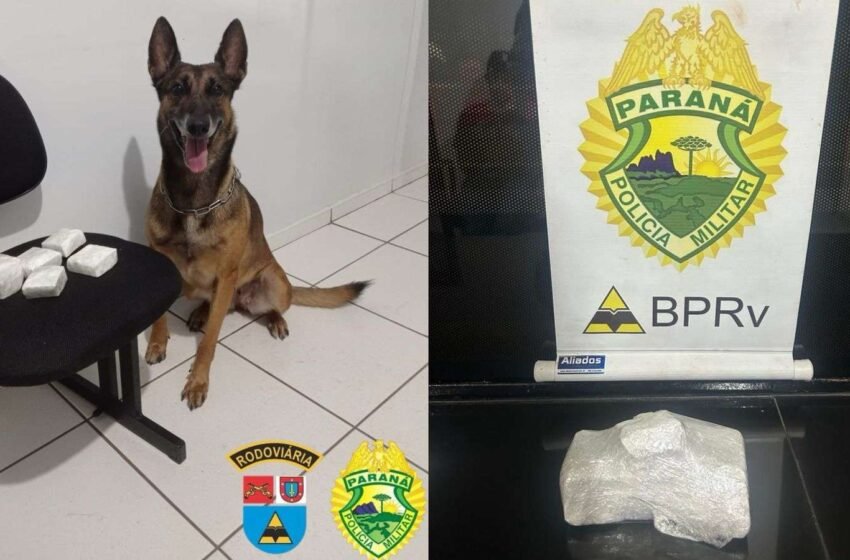  Policiais prendem dois suspeitos e confiscam 900 gramas de cocaína em ação no sudoeste paranaense