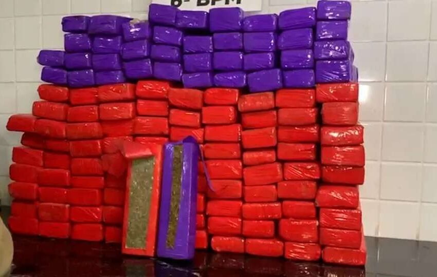  BR-277: dois presos e 78 kg de maconha apreendidos em operação policial