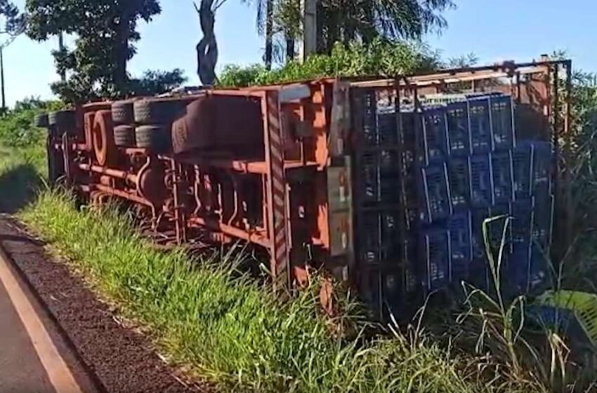  Acidente na PR 239: caminhão tomba e motorista fica ferido