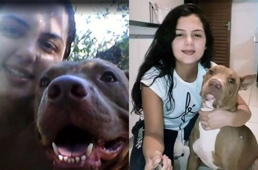  Tragédia doméstica: dona é morta por cão da raça pitbull em ataque dentro de residência