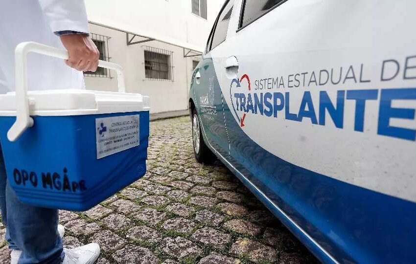  Estado é exemplo nacional: famílias paranaenses lideram aceitação em doações de órgãos