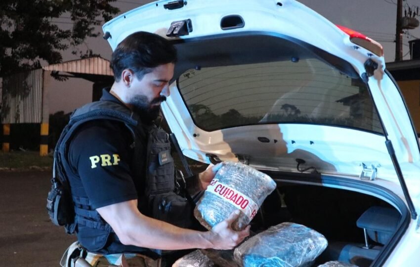 Carga de 149 kg de maconha é interceptada pela PRF na BR-277