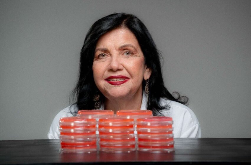  Pesquisadora brasileira Mariangela Hungria é premiada com Nobel da Agricultura