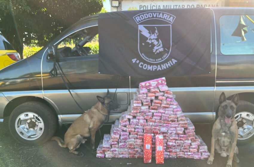  Van com placas do Paraguai é flagrada com droga em fundo falso