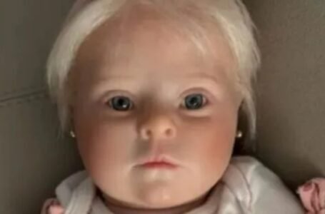 Disputa judicial: Mulher busca advogada para lutar pela guarda de seu bebê reborn