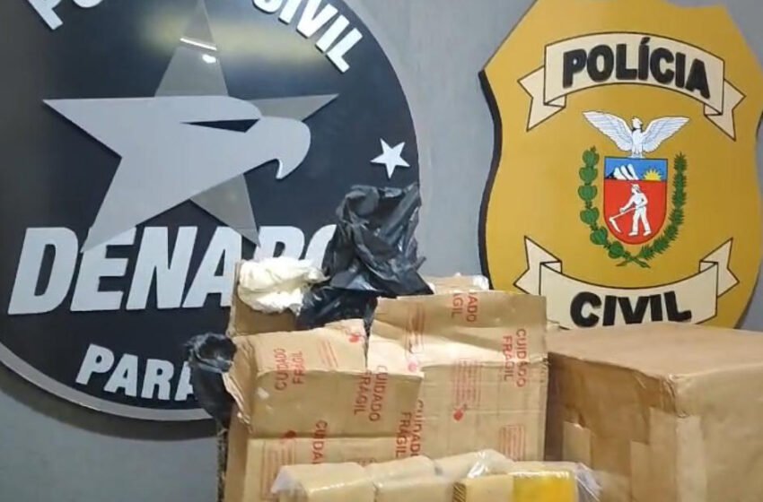  Operação encontra 807 kg de maconha camuflados em carreta que transportava farinha