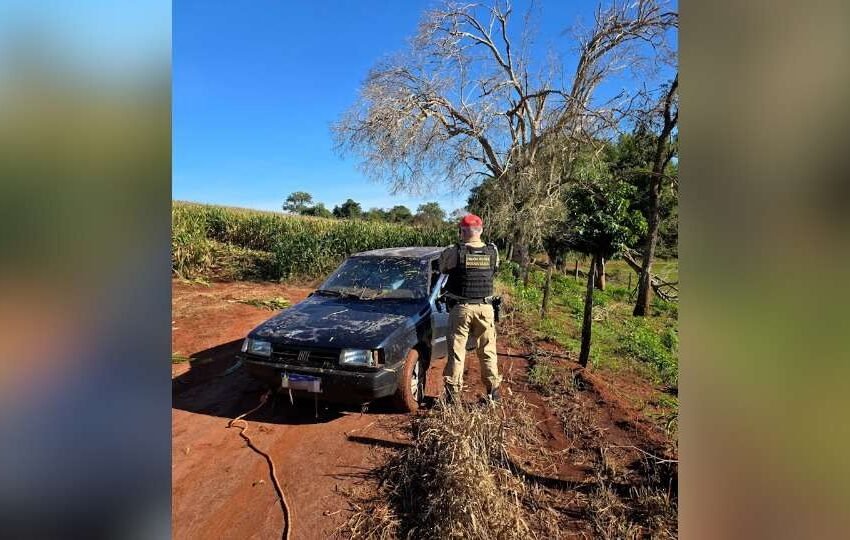  PF intercepta carga milionária de cigarros ilegais em ação com veículos e caminhões