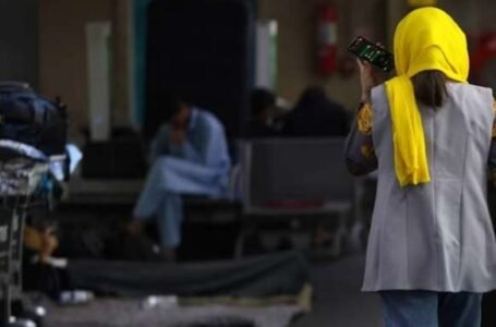 Número de refugiados no Brasil cresce 9,5% e passa de 156 mil em 2024
