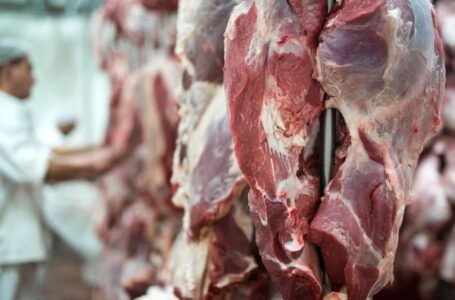 Brasil projeta recorde na produção de carnes: 31,5 milhões de toneladas neste ano
