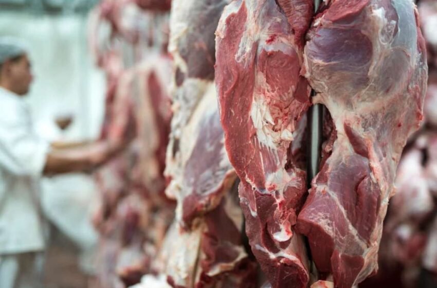  Brasil projeta recorde na produção de carnes: 31,5 milhões de toneladas neste ano