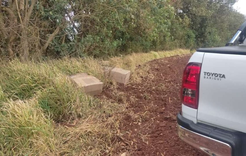  Polícia Rodoviária Federal intercepta remédios proibidos e anabolizantes durante fiscalização
