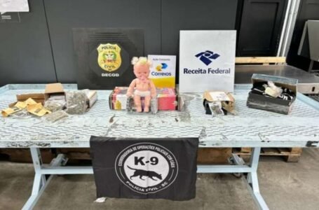 Polícia apreende boneca recheada de haxixe durante operação