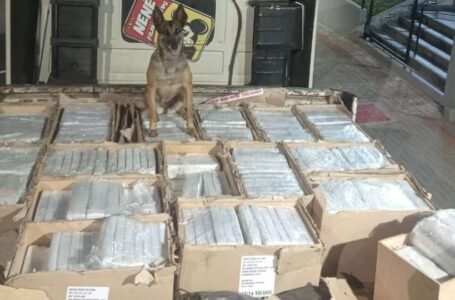 Maconha é encontrada em meio a caixas de MDF durante abordagem