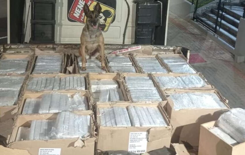  Maconha é encontrada em meio a caixas de MDF durante abordagem