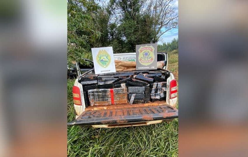  Quase 900 kg de maconha são apreendidos durante ação policial no estado