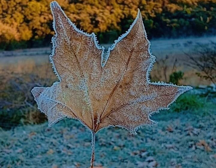  Onda de frio atinge o paraná e faz 29 municípios registrarem as menores temperaturas do ano