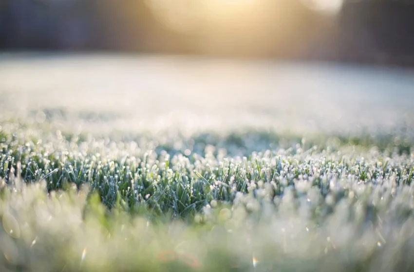  Alerta para onda de frio intenso: Massa polar traz temperaturas negativas e risco de geada em várias cidades