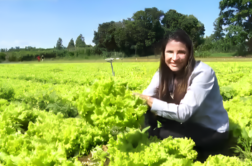  Gestão financeira no campo: plataforma digital do Sebrae auxilia agricultores a fugir do endividamento