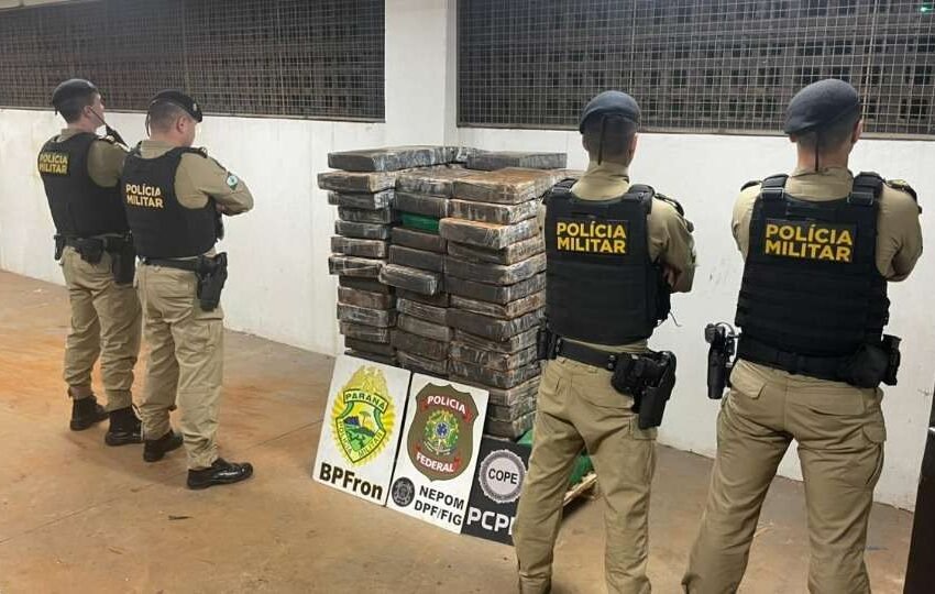  Polícia apreende mais de uma tonelada de maconha escondida em mata