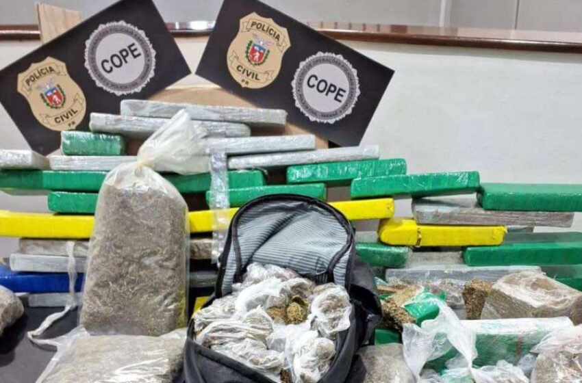  Mais de 300 quilos de maconha gourmet são confiscados em operação no Paraná