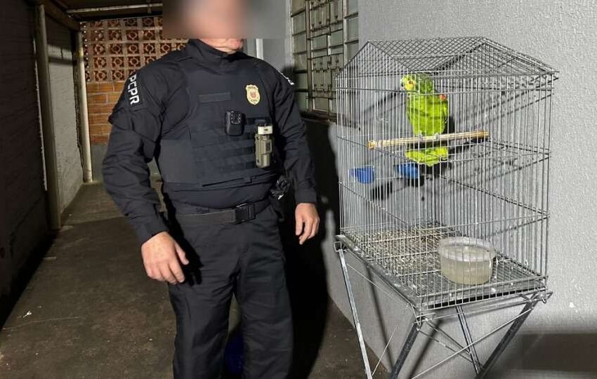  Polícia mira facção com atuação militar e julgamentos internos no Paraná