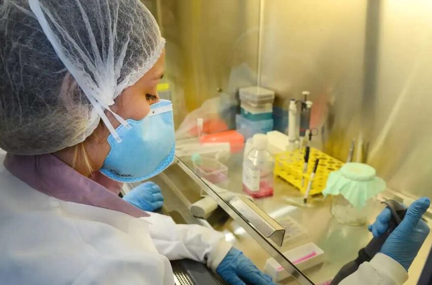  Pesquisa aponta progresso promissor rumo a imunizante contra a Zika