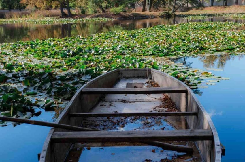  Pescador desaparece em lago e embarcação não é encontrada