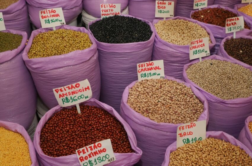  Paraná atinge recorde histórico e segue como maior produtor de feijão do país