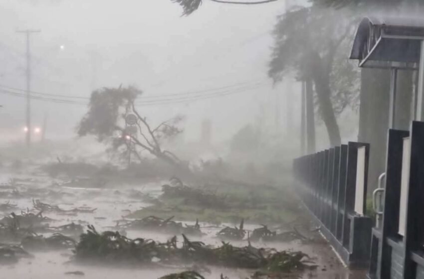  Ciclone provoca ventania e chuva intensa em diversas regiões do Paraná