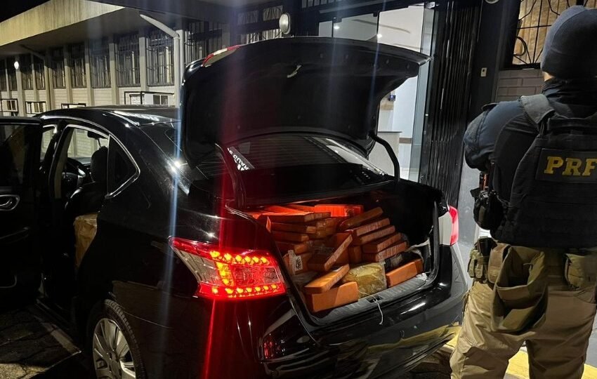  Apreendido carga de 500 kg de maconha durante fiscalização na BR-277