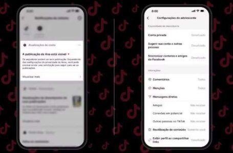 Nova função do TikTok permite monitoramento das postagens por responsáveis