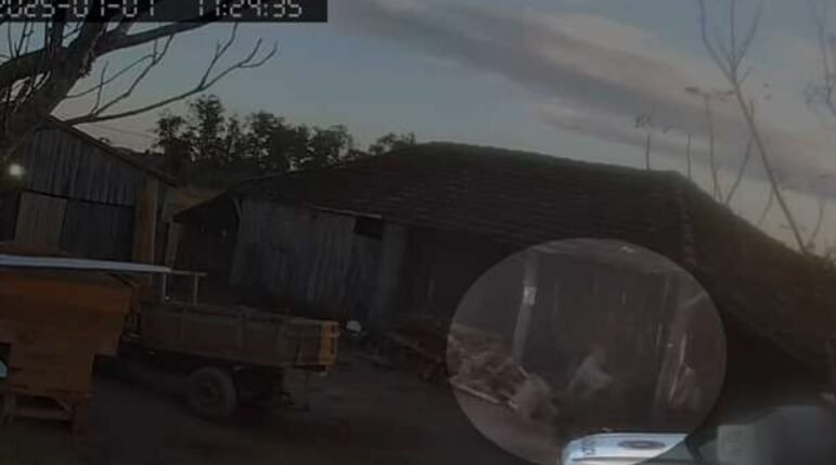 PM atira e mata agricultor durante abordagem por crime ambiental no RS